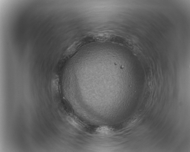 X0000058130231200510072013