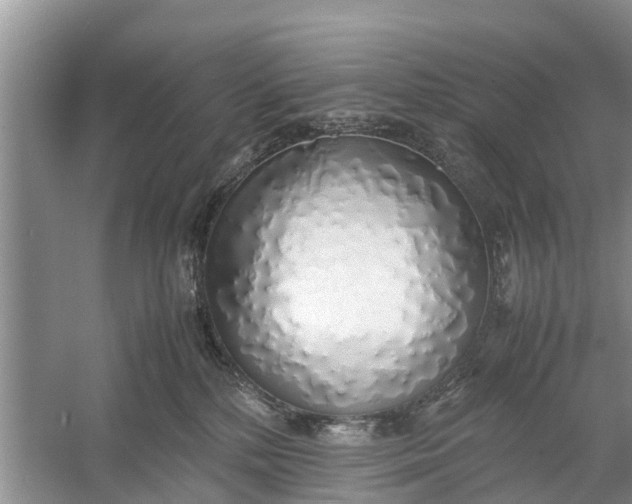 X0000058130232200510072013