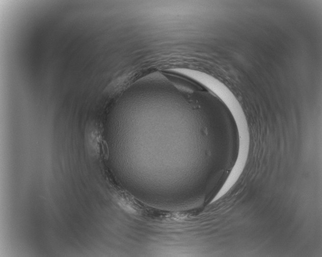 X0000058130235200510072013