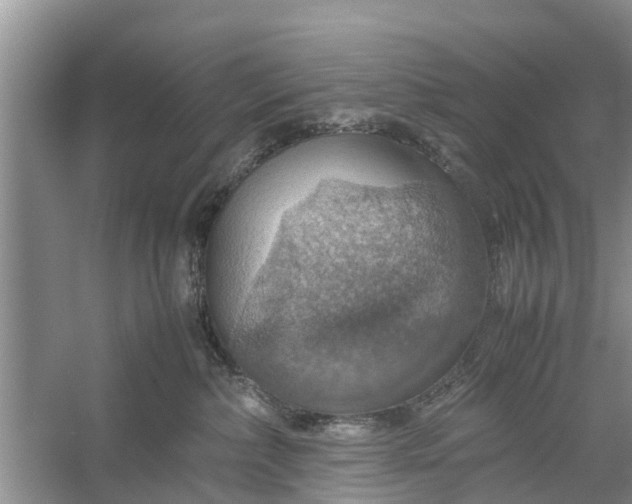 X0000058130236200510072013