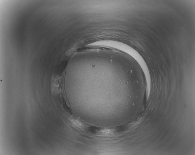 X0000058130237200510072013