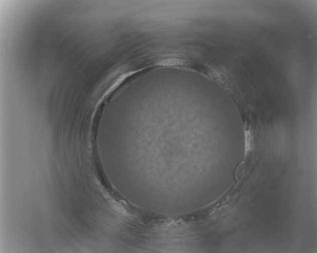 X0000058130243200510072012