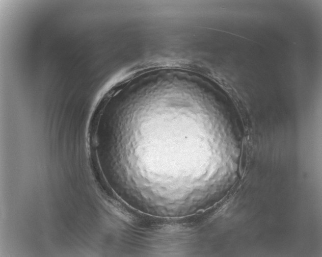 X0000058130246200510072012