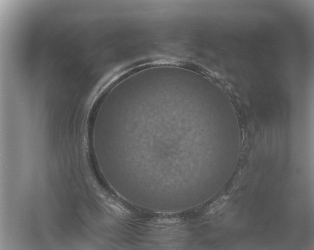 X0000058130247200510072012