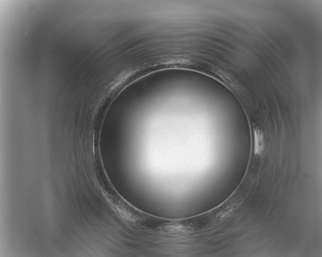 X0000058130253200510072013