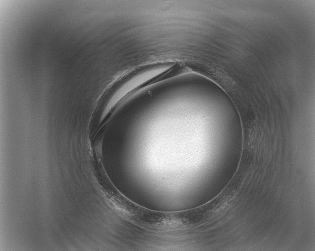 X0000058130256200510072013