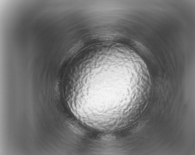 X0000058130258200510072013