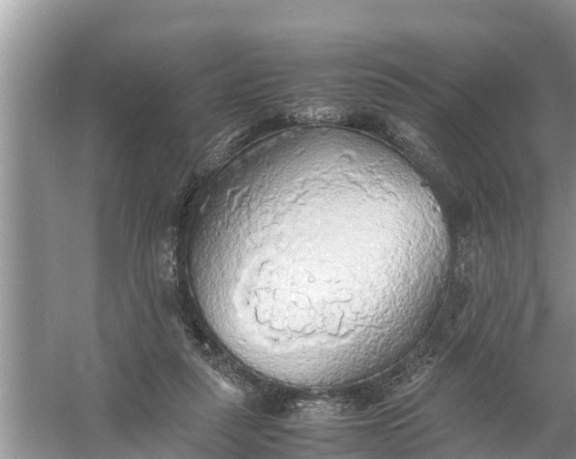 X0000058130259200510072013