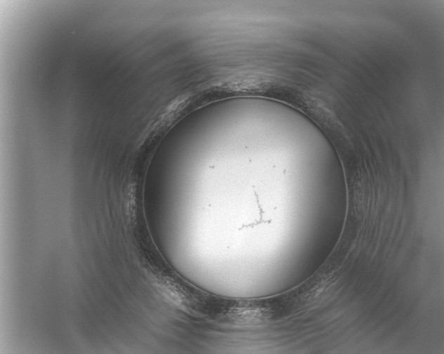 X0000058130260200510072013