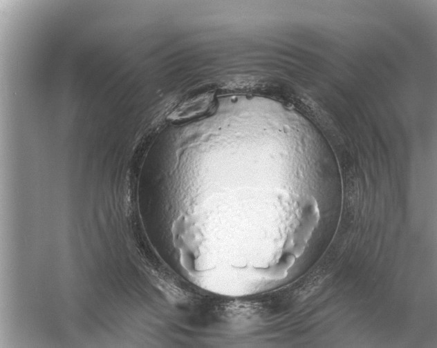 X0000058130261200510072013