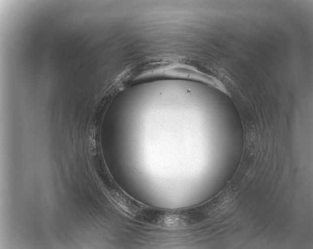 X0000058130264200510072013