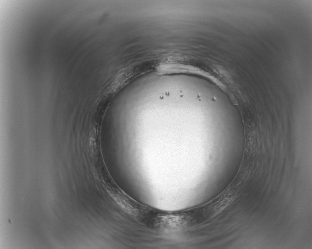 X0000058130265200510072013