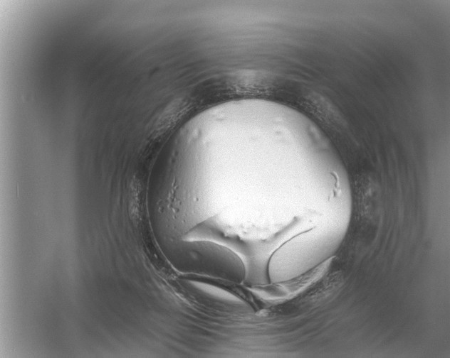 X0000058130266200510072013