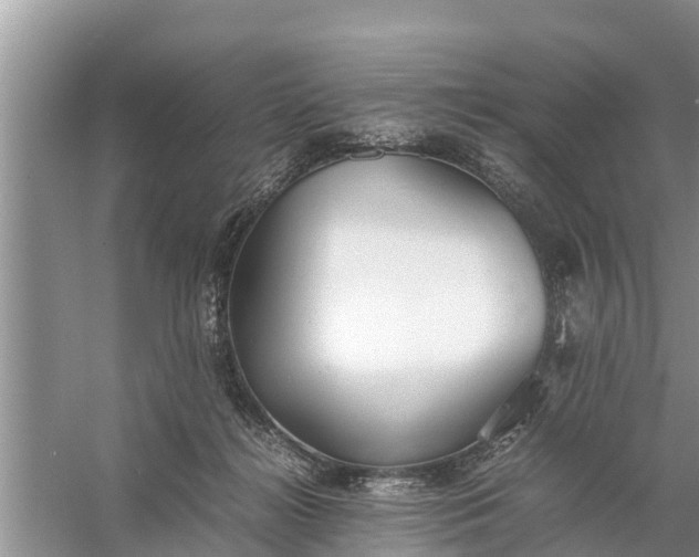 X0000058130268200510072013