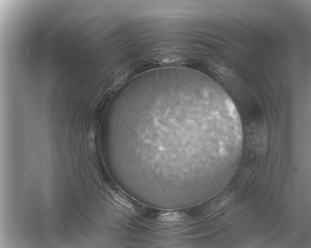 X0000058130269200510072013