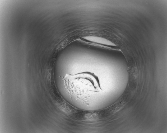 X0000058130271200510072013