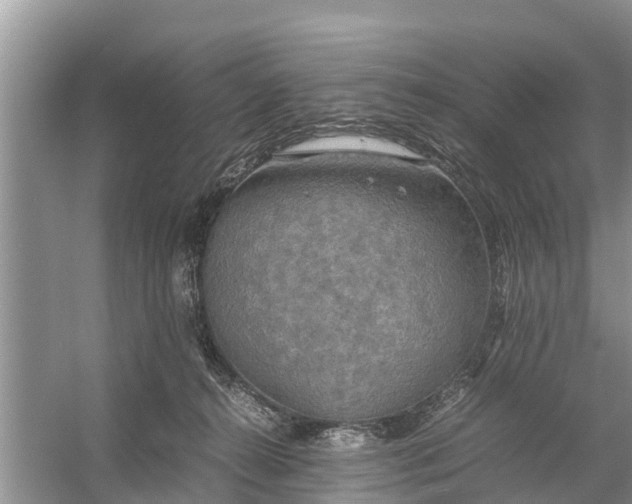 X0000058130272200510072013