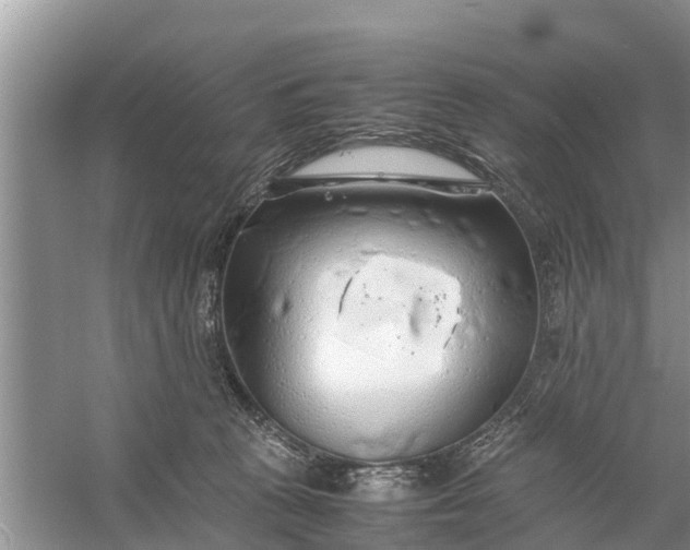 X0000058130273200510072013