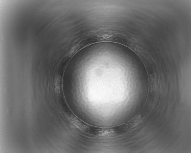 X0000058130274200510072013