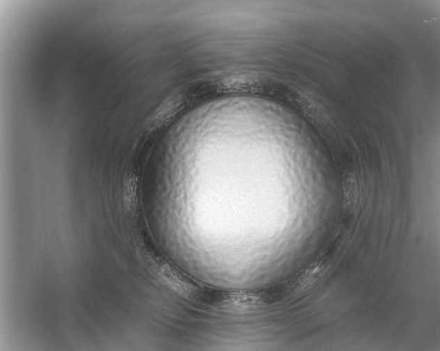 X0000058130278200510072013