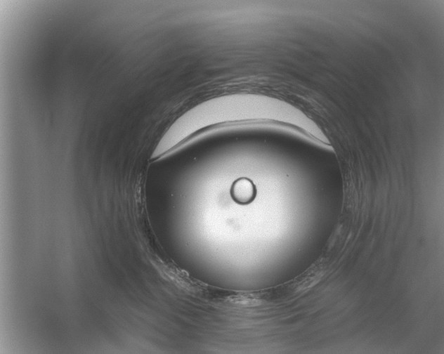 X0000058130284200510072013