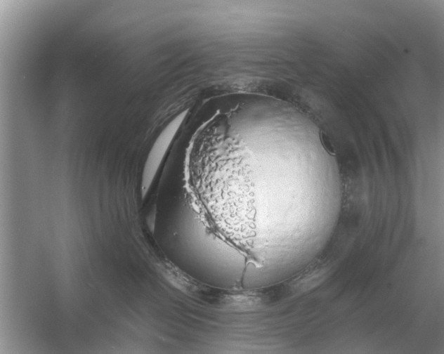 X0000058130286200510072013