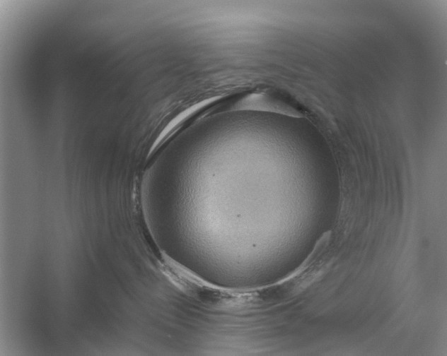 X0000058130288200510072013