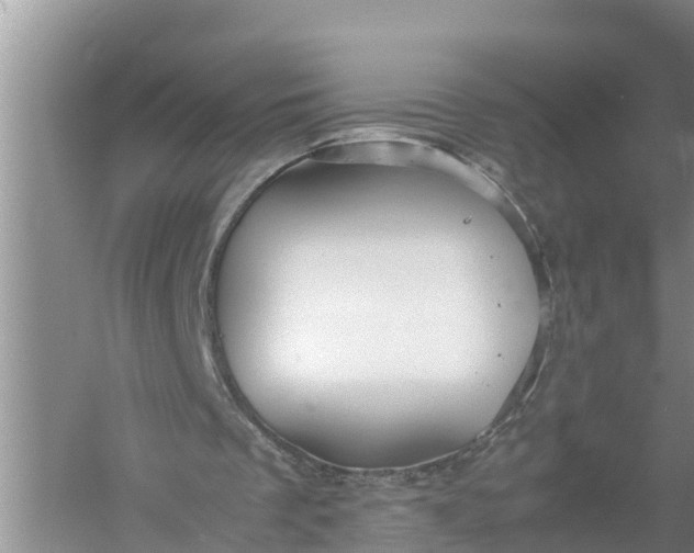 X0000058130289200510072012