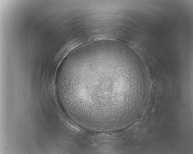 X0000058130290200510072012