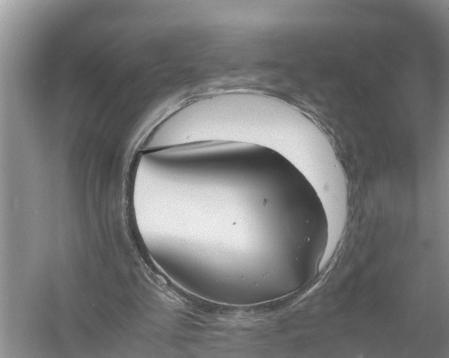 X0000058130293200510072012