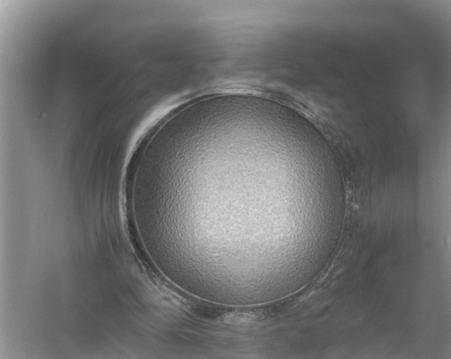 X0000058130294200510072012