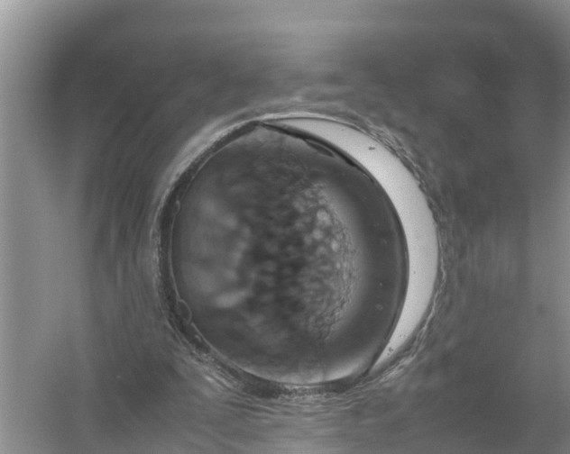 X0000058130295200510072012