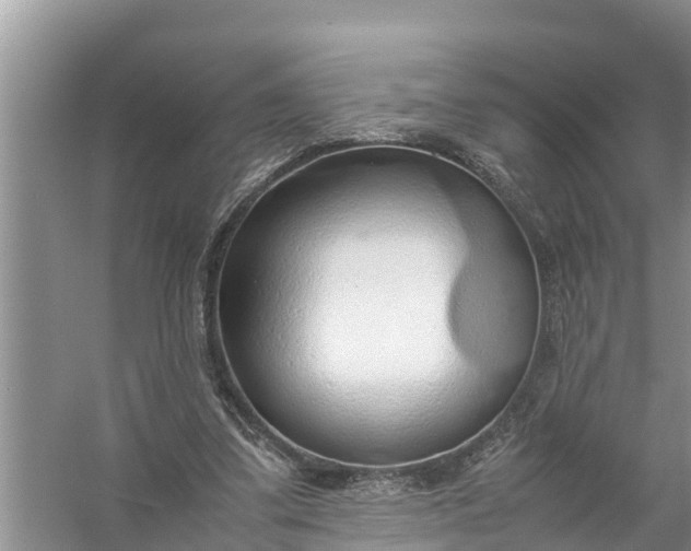 X0000058130299200510072012