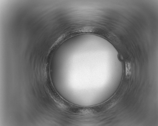 X0000058130300200510072012