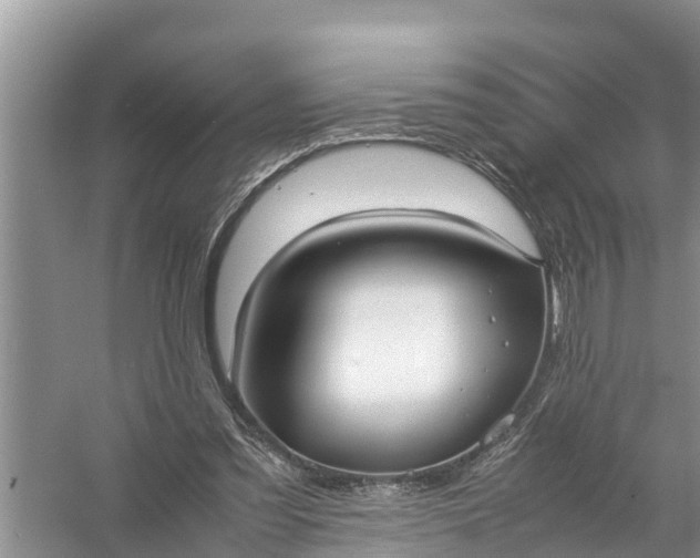 X0000058130301200510072012