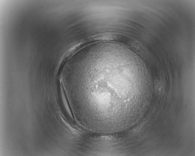 X0000058130302200510072012