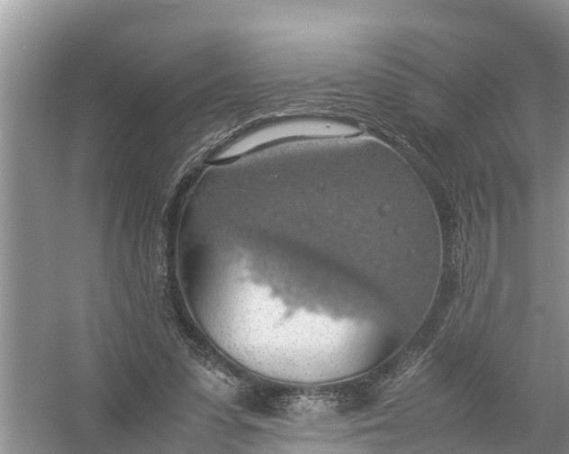 X0000058130303200510072012