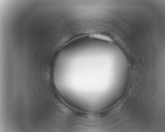 X0000058130305200510072012