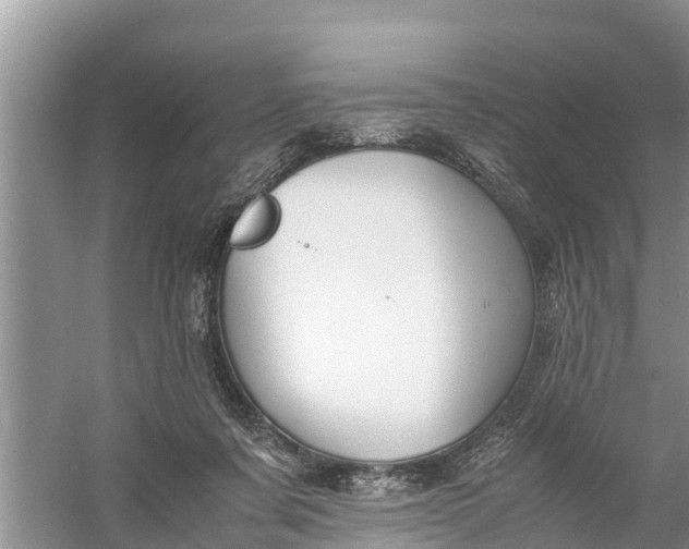 X0000058130311200510072012