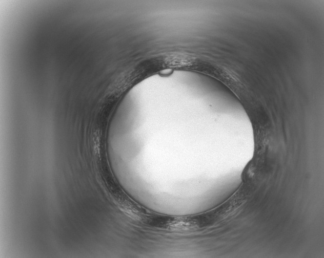 X0000058130315200510072012