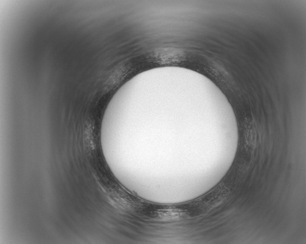 X0000058130316200510072012