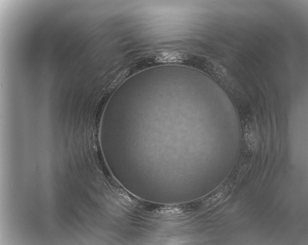 X0000058130322200510072012