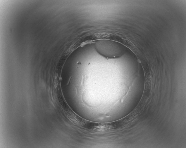 X0000058130323200510072012