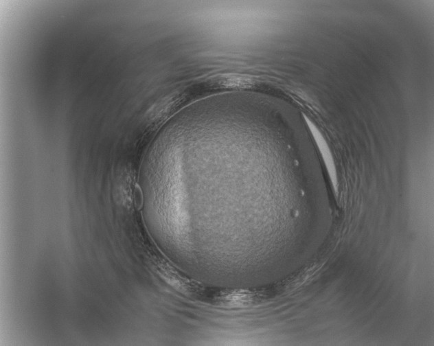 X0000058130325200510072012