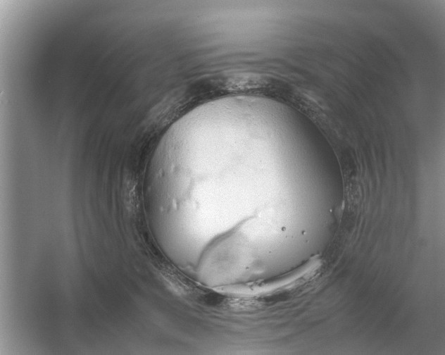 X0000058130327200510072012