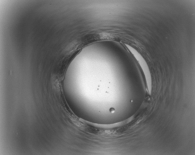 X0000058130329200510072012