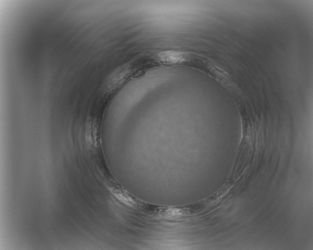 X0000058130330200510072012