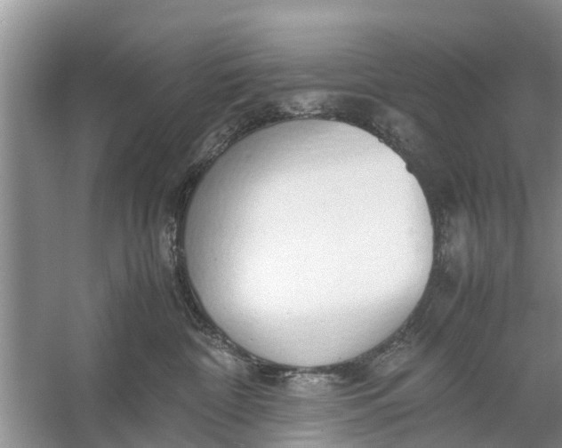 X0000058130332200510072012