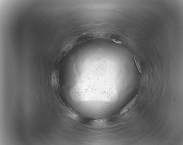 X0000058130335200510072012