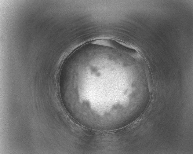 X0000058130337200510072011